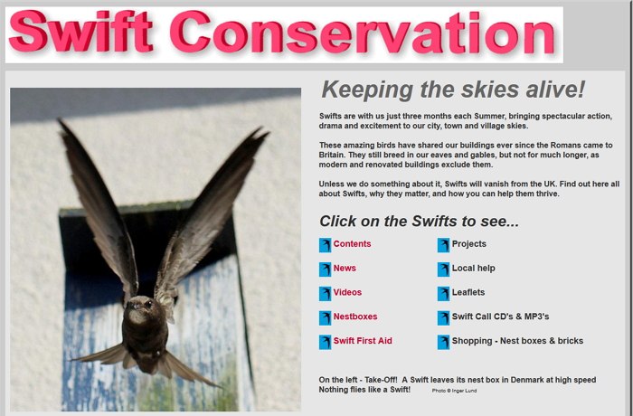 Swift Conservation - English language