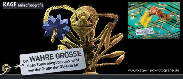 Die Mikrofotografie enth&uuml;llt als drittes Auge die genialen Grundstrukturen eines kosmischen Designs, das uns die Sch&ouml;nheit